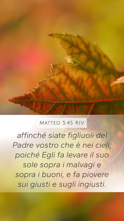 Matteo 5:45 RIV Bible Verse Image