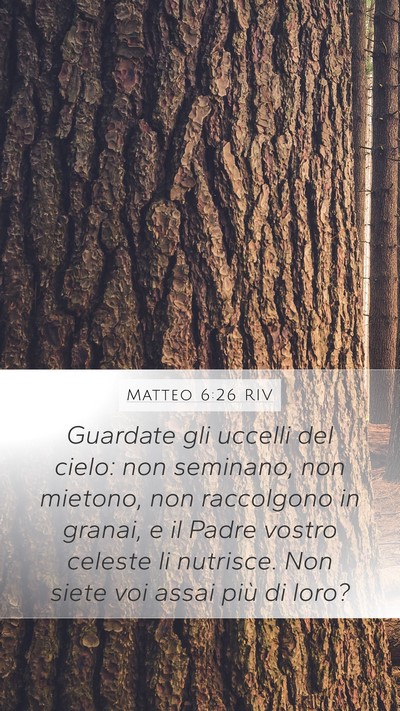 Matteo 6:26 RIV Bible Verse Image