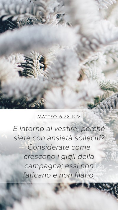 Matteo 6:28 RIV Mobile Phone Wallpaper - E intorno al vestire, perché siete con ansietà - Mobile Bible Verse Wallpaper