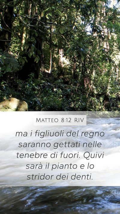 Matteo 8:12 RIV Bible Verse Image