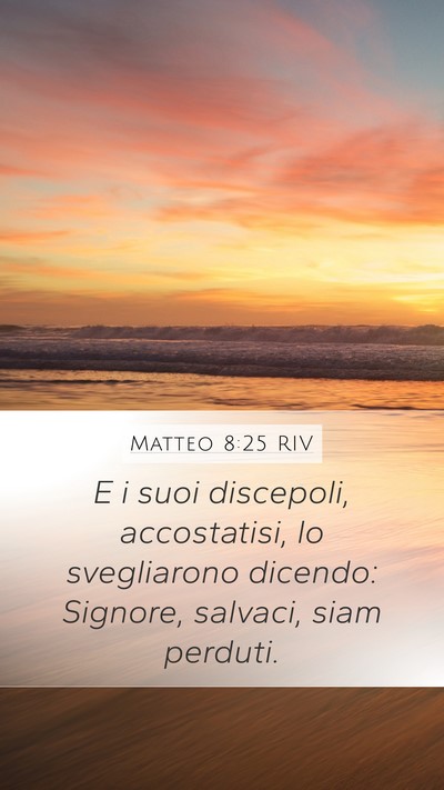Matteo 8:25 RIV Mobile Phone Wallpaper - E i suoi discepoli, accostatisi, lo svegliarono - Mobile Bible Verse Wallpaper
