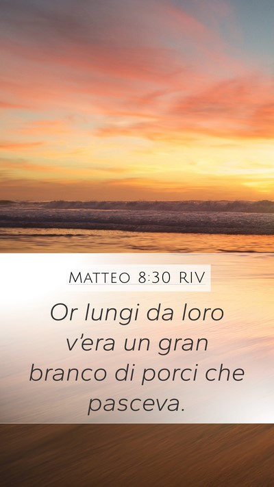 Matteo 8:30 RIV Mobile Phone Wallpaper - Or lungi da loro v’era un gran branco di porci - Mobile Bible Verse Wallpaper