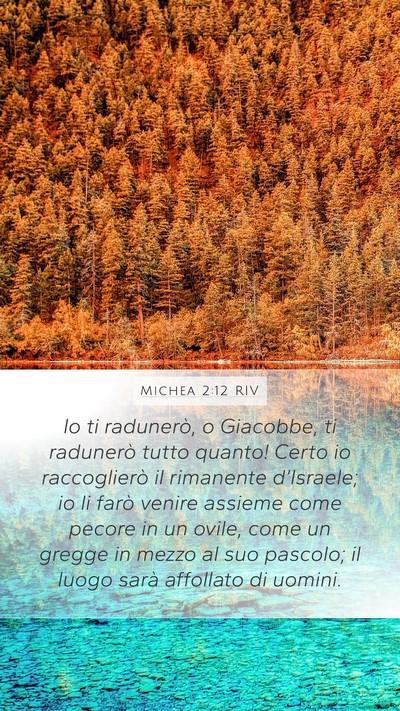 Michea 2:12 RIV Bible Verse Image