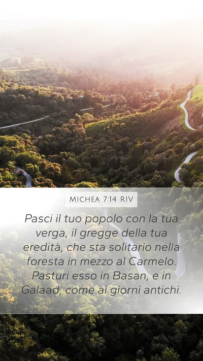 Michea 7:14 RIV Bible Verse Image