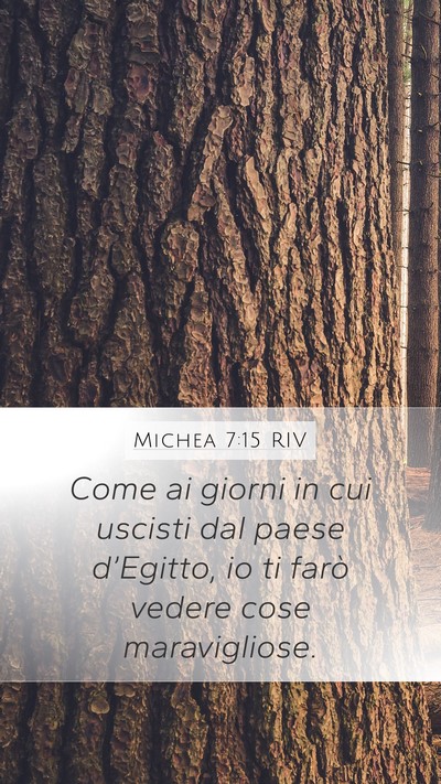 Michea 7:15 RIV Bible Verse Image