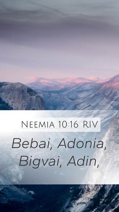 Neemia 10:16 RIV Mobile Phone Wallpaper - Bebai, Adonia, Bigvai, - Mobile Bible Verse Wallpaper