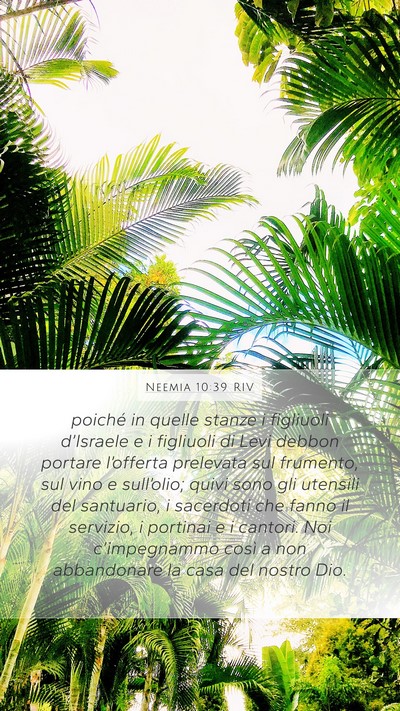 Neemia 10:39 RIV Bible Verse Image