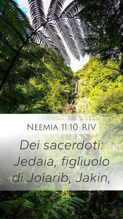 Neemia 11:10 RIV Bible Verse Image