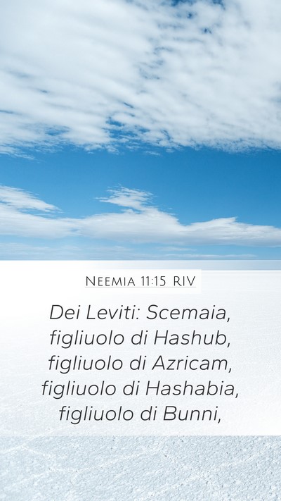 Neemia 11:15 RIV Bible Verse Image