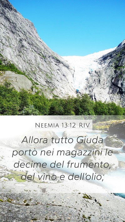 Neemia 13:12 RIV Bible Verse Image