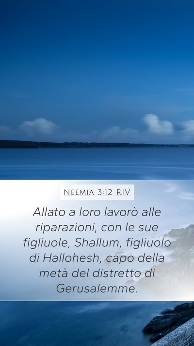 Neemia 3:12 RIV Bible Verse Image