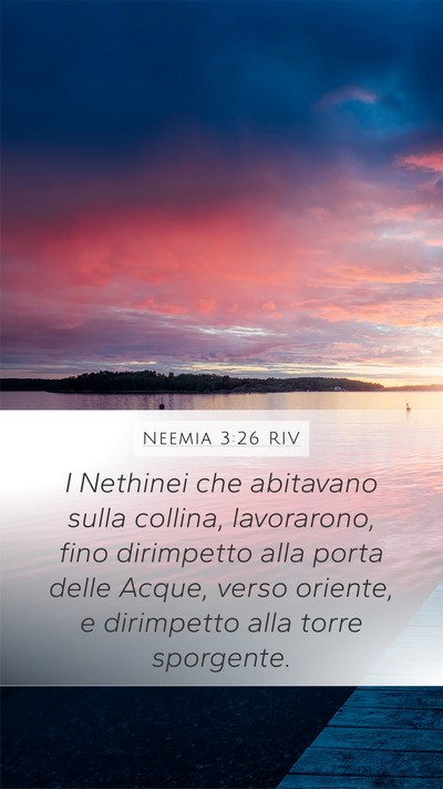 Neemia 3:26 RIV Bible Verse Image