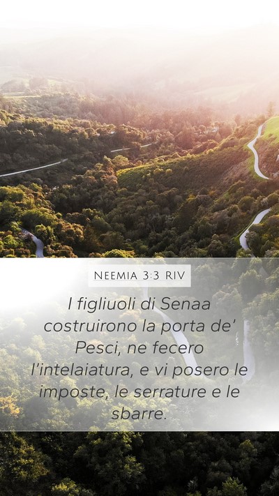 Neemia 3:3 RIV Mobile Phone Wallpaper - I figliuoli di Senaa costruirono la porta de’ - Mobile Bible Verse Wallpaper