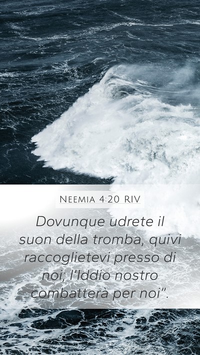 Neemia 4:20 RIV Bible Verse Image