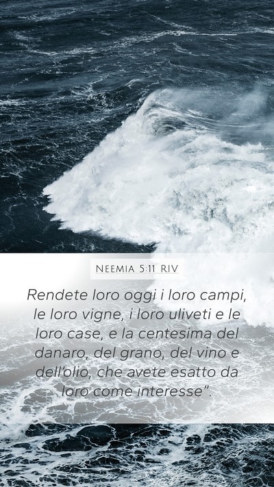 Neemia 5:11 RIV Mobile Phone Wallpaper - Rendete loro oggi i loro campi, le loro vigne, i - Mobile Bible Verse Wallpaper