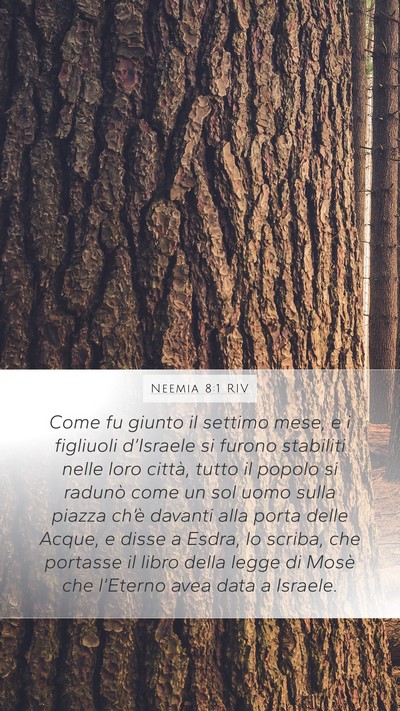 Neemia 8:1 RIV Bible Verse Image