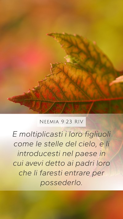 Neemia 9:23 RIV Bible Verse Image