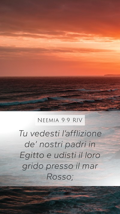 Neemia 9:9 RIV Bible Verse Image
