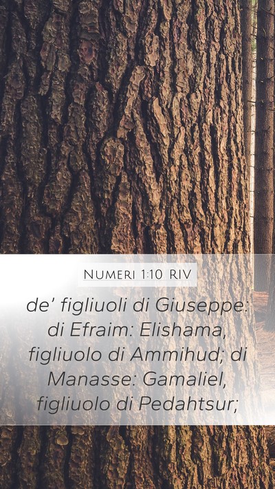 Numeri 1:10 RIV Mobile Phone Wallpaper - de’ figliuoli di Giuseppe: di Efraim: Elishama, - Mobile Bible Verse Wallpaper