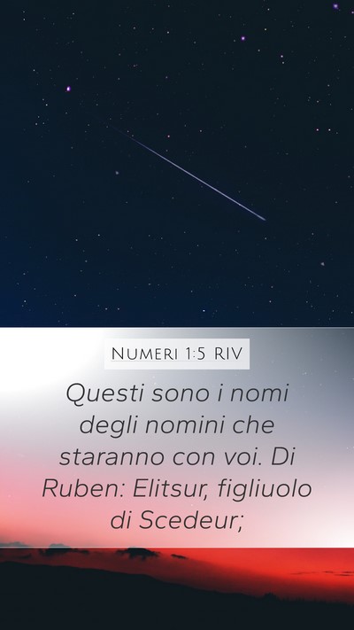 Numeri 1:5 RIV Mobile Phone Wallpaper - Questi sono i nomi degli nomini che staranno con - Mobile Bible Verse Wallpaper