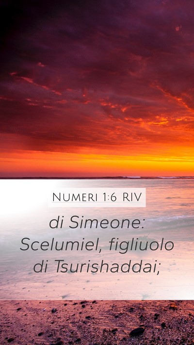 Numeri 1:6 RIV Mobile Phone Wallpaper - di Simeone: Scelumiel, figliuolo di - Mobile Bible Verse Wallpaper