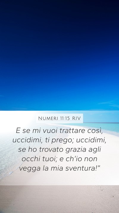 Numeri 11:15 RIV Bible Verse Image
