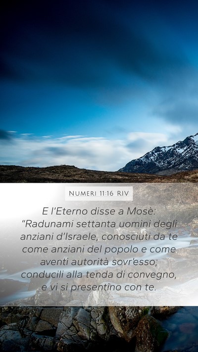 Numeri 11:16 RIV Bible Verse Image