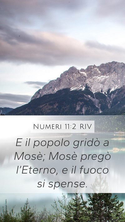 Numeri 11:2 RIV Mobile Phone Wallpaper - E il popolo gridò a Mosè; Mosè pregò - Mobile Bible Verse Wallpaper