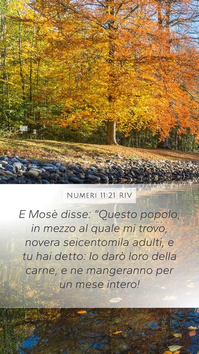 Numeri 11:21 RIV Bible Verse Image