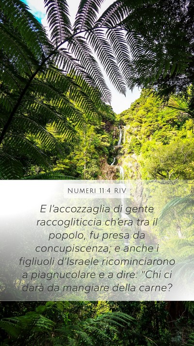 Numeri 11:4 RIV Bible Verse Image