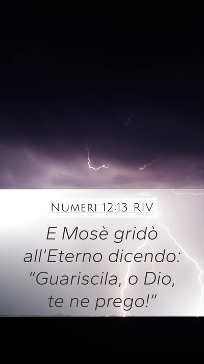 Numeri 12:13 RIV Mobile Phone Wallpaper - E Mosè gridò all’Eterno dicendo: - Mobile Bible Verse Wallpaper