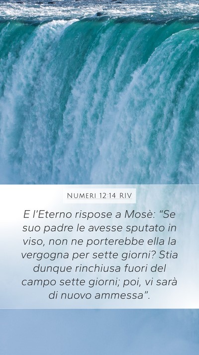 Numeri 12:14 RIV Bible Verse Image