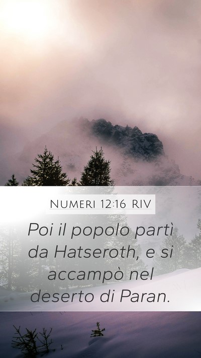 Numeri 12:16 RIV Bible Verse Image