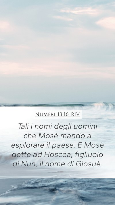 Numeri 13:16 RIV Bible Verse Image