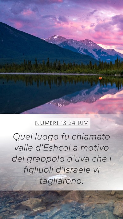 Numeri 13:24 RIV Mobile Phone Wallpaper - Quel luogo fu chiamato valle d’Eshcol a motivo - Mobile Bible Verse Wallpaper