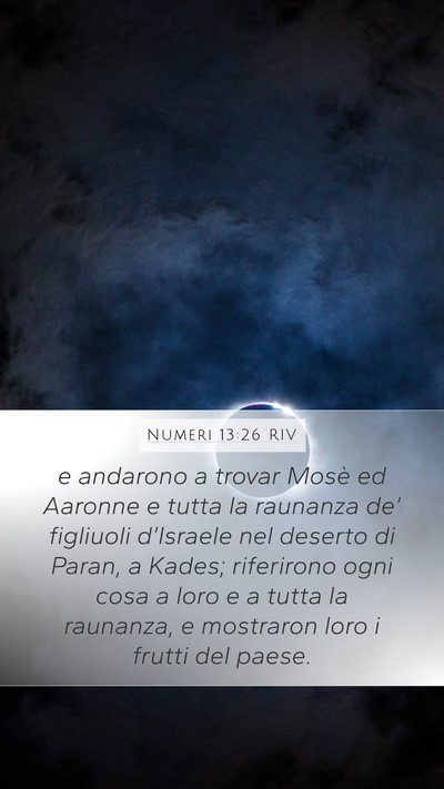 Numeri 13:26 RIV Bible Verse Image