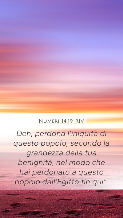 Numeri 14:19 RIV Mobile Phone Wallpaper - Deh, perdona l’iniquità di questo popolo, - Mobile Bible Verse Wallpaper