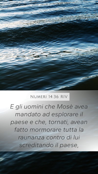 Numeri 14:36 RIV Bible Verse Image