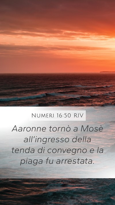 Numeri 16:50 RIV Mobile Phone Wallpaper - Aaronne tornò a Mosè all’ingresso della tenda - Mobile Bible Verse Wallpaper