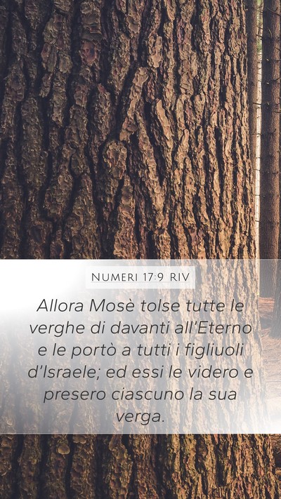 Numeri 17:9 RIV Mobile Phone Wallpaper - Allora Mosè tolse tutte le verghe di davanti - Mobile Bible Verse Wallpaper