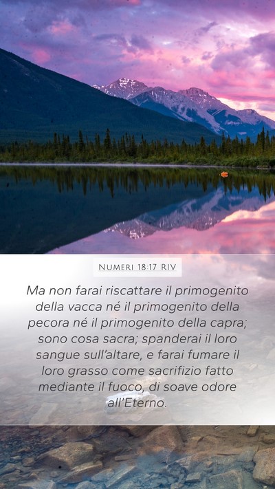 Numeri 18:17 RIV Bible Verse Image