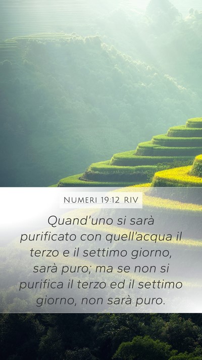 Numeri 19:12 RIV Mobile Phone Wallpaper - Quand’uno si sarà purificato con quell’acqua - Mobile Bible Verse Wallpaper
