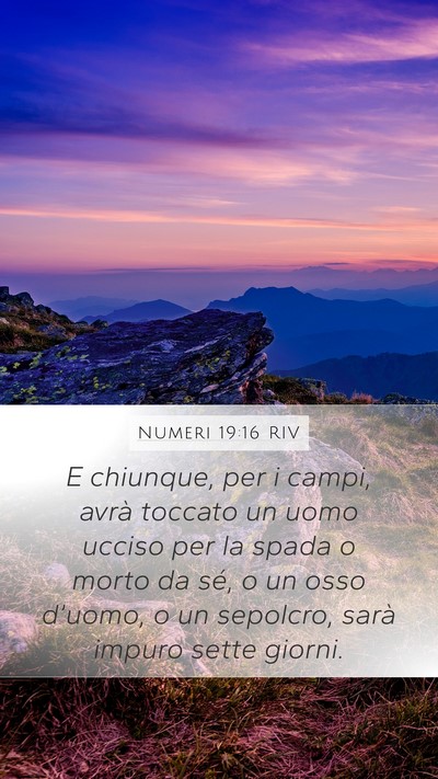Numeri 19:16 RIV Bible Verse Image