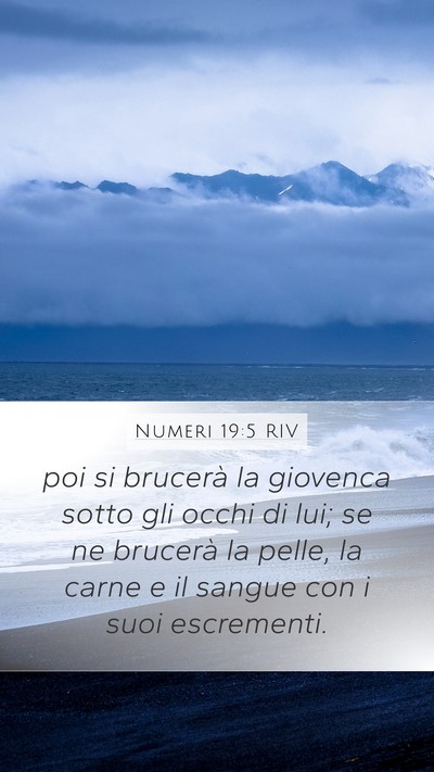 Numeri 19:5 RIV Mobile Phone Wallpaper - poi si brucerà la giovenca sotto gli occhi di - Mobile Bible Verse Wallpaper