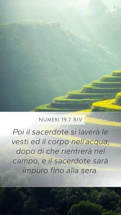 Numeri 19:7 RIV Bible Verse Image