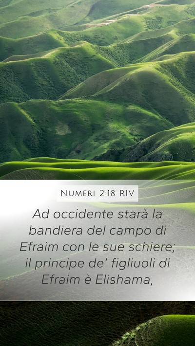 Numeri 2:18 RIV Bible Verse Image