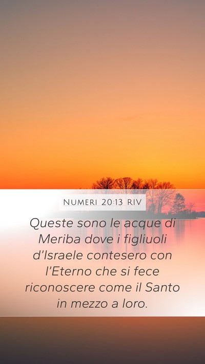 Numeri 20:13 RIV Bible Verse Image