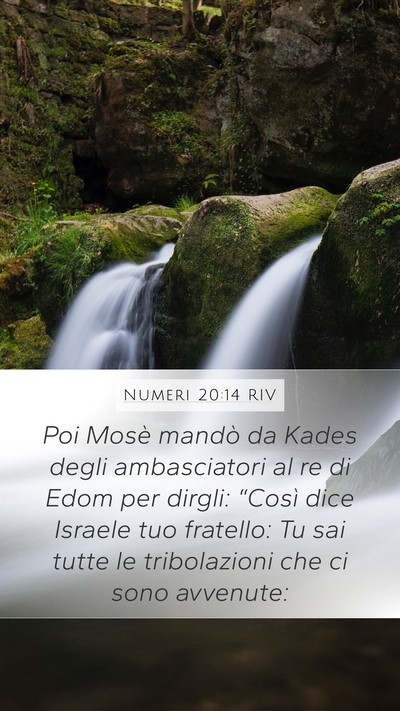 Numeri 20:14 RIV Bible Verse Image