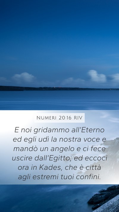 Numeri 20:16 RIV Bible Verse Image