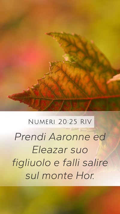 Numeri 20:25 RIV Bible Verse Image